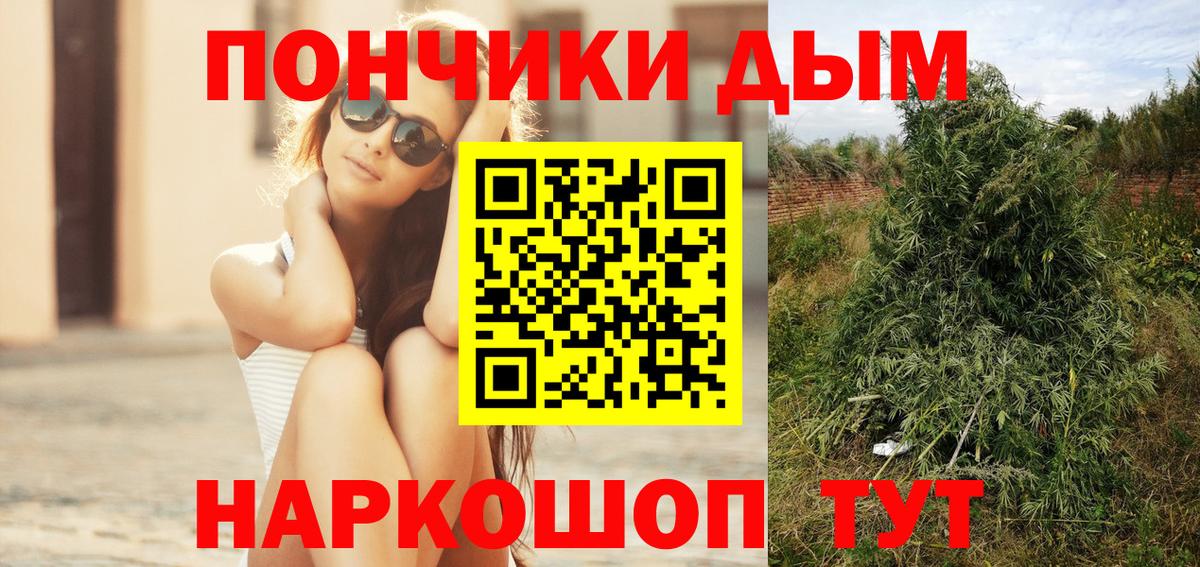 Бошки Шишки планчик Белореченск